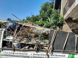 Best Shed Removal  in Spring Arbor, MI